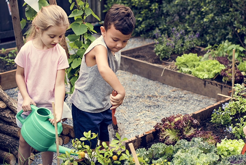 huerto-educacional-huertorganico-2