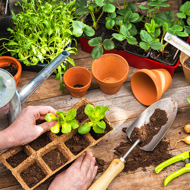 talleres-huertorganico-2