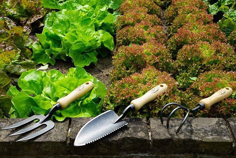 huerto-construccion-huertorganico-3